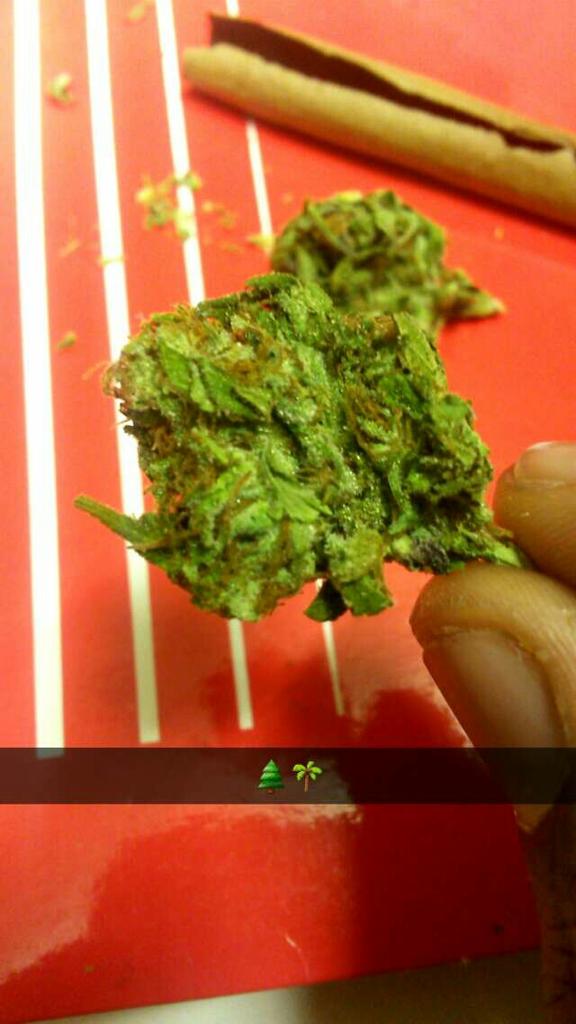 MalikTheHippie tweet picture