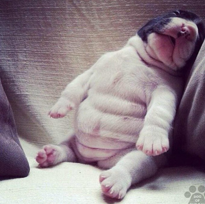 How i feel right now #Thanksgiving #coma #food http://t.co/GVfmaMrq3q<a href="/tag/thanksgiving"class="tags">#Thanksgiving</a><a href="/tag/coma"class="tags">#coma</a><a href="/tag/food"class="tags">#food</a>