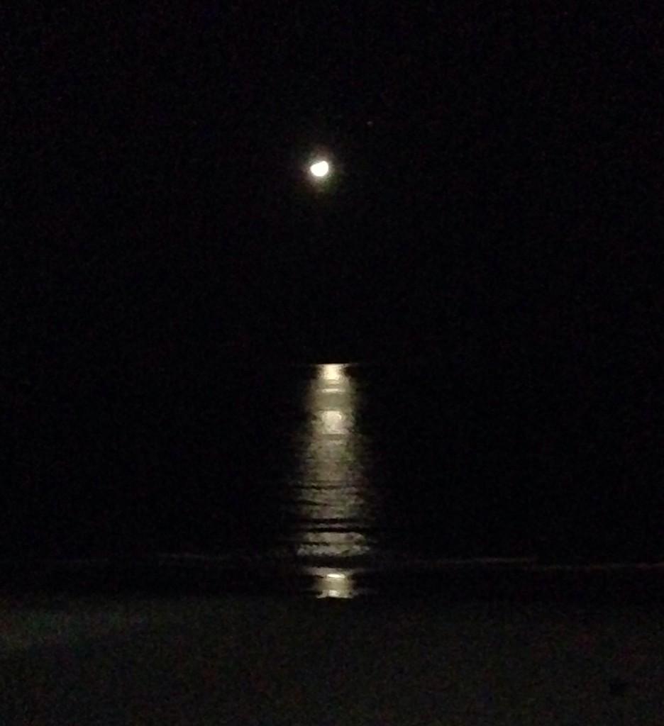 By the light of the silv'ry moon...