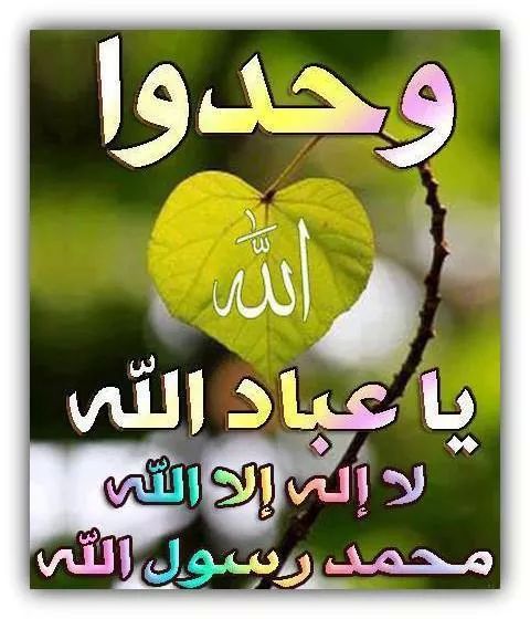 احمد محمدزين ahmed mohamed zain (@zainnn50) on Twitter photo 