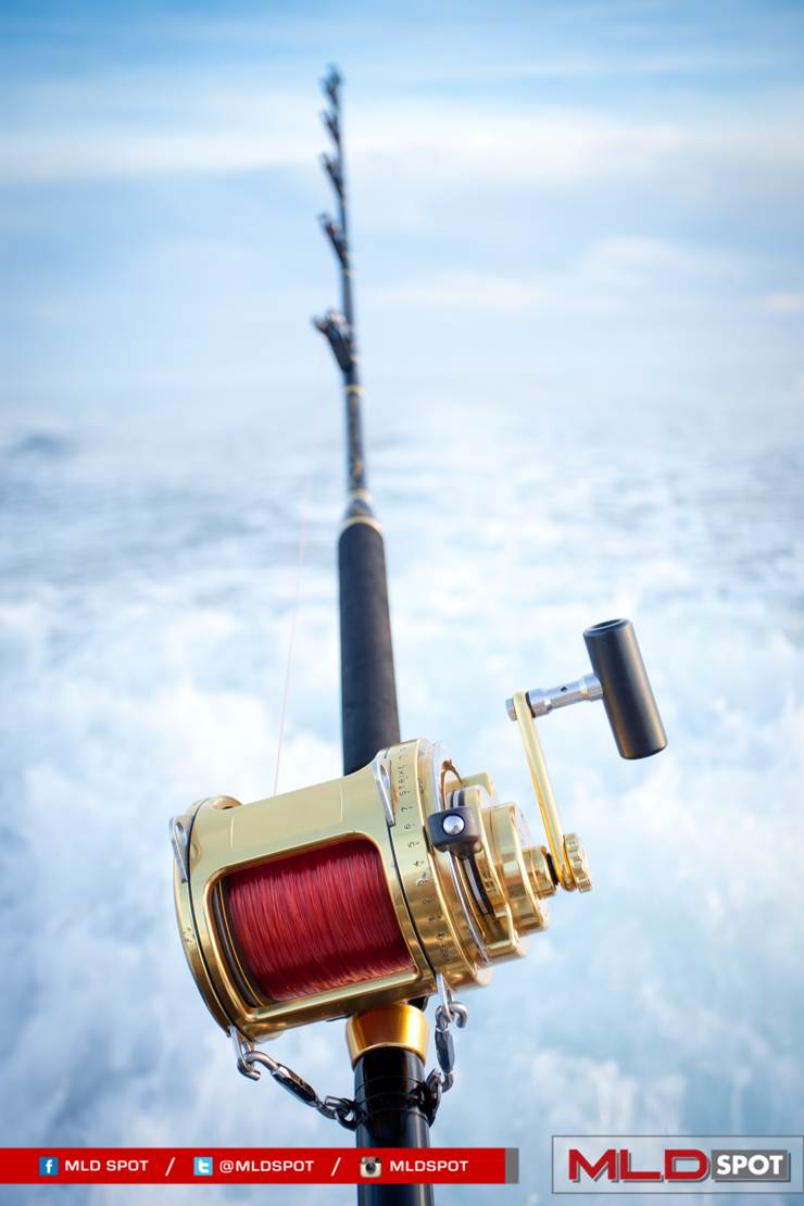 MLDSPOT's tweet photo. "A bad day of fishing is better than a good day of work." - Unknown. Manfaatin waktu libur lo Bro! #MLDManArea http://t.co/VXKUhIfGaV