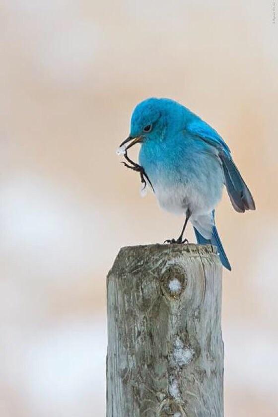 asdfasdf11899's tweet photo. صبااااااااااحك 
ورد http://t.co/1N0mHLYuws