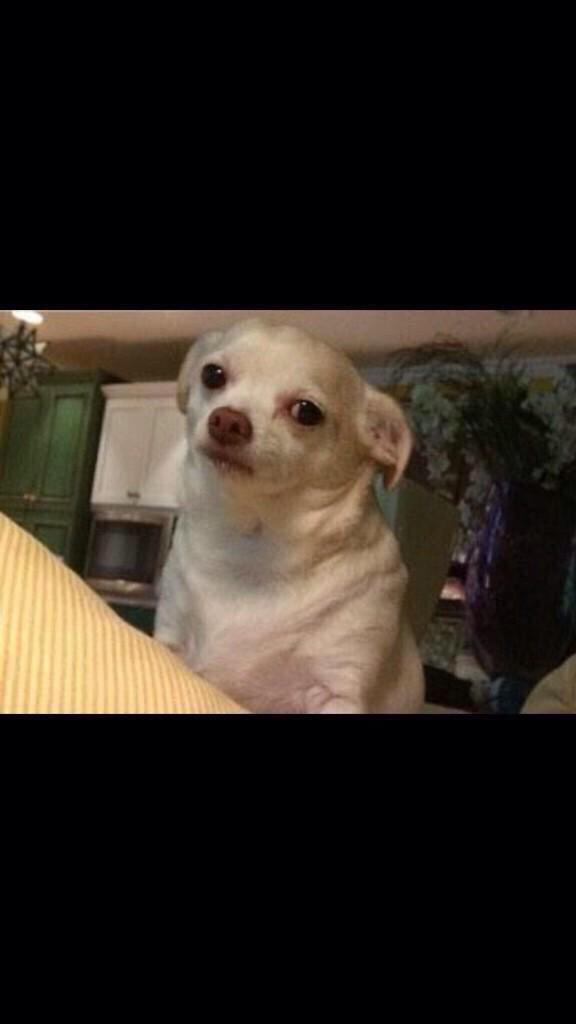 SpaceCrops's tweet photo. @GayBagel Obama care got me like http://t.co/k1r72DlVts