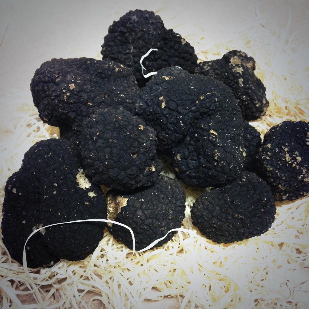 Your Truffle Man tweet media