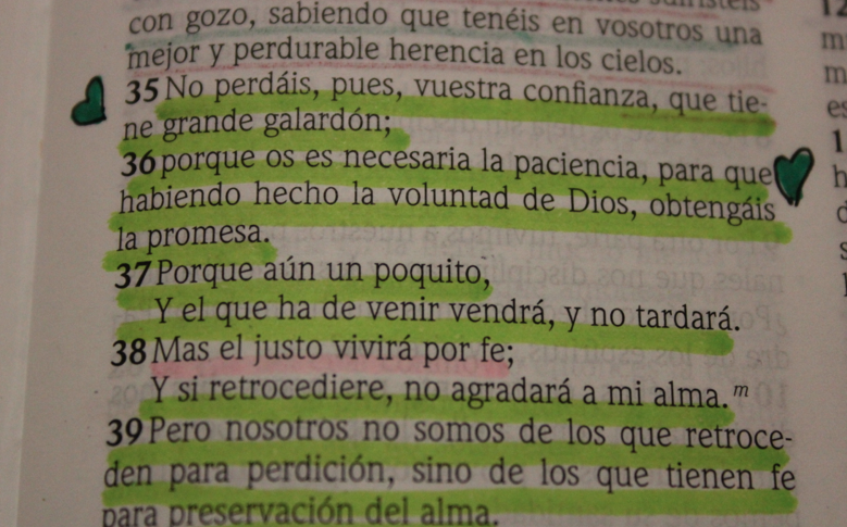 fersflores_'s tweet image. #DevoTime 🙊