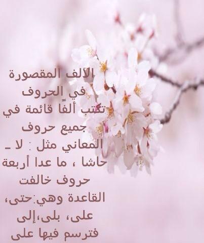 Kfayat_project's tweet photo. الألف المقصورة في الأسماء و الحروف . 
روان العروي http://t.co/Asp5XVAa5i