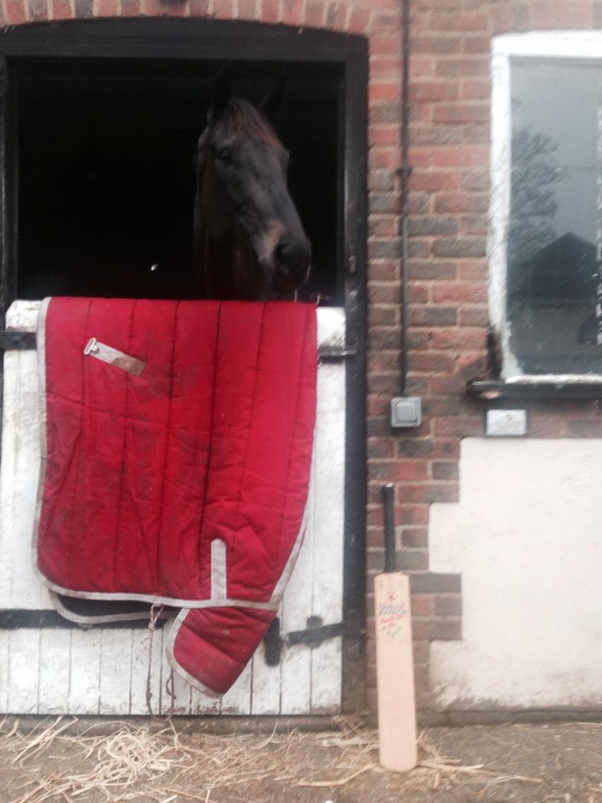 Many Clouds #philhughes #getyourbatout