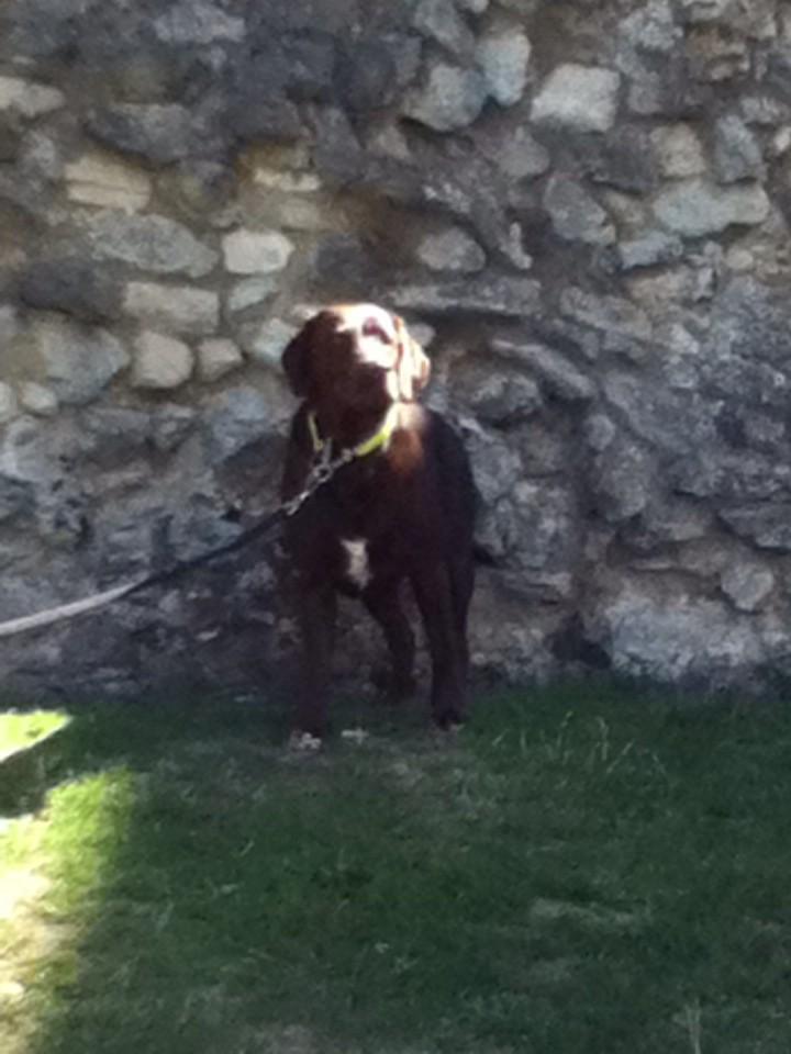TheTracie's tweet photo. http://t.co/0BKEaLXMOo