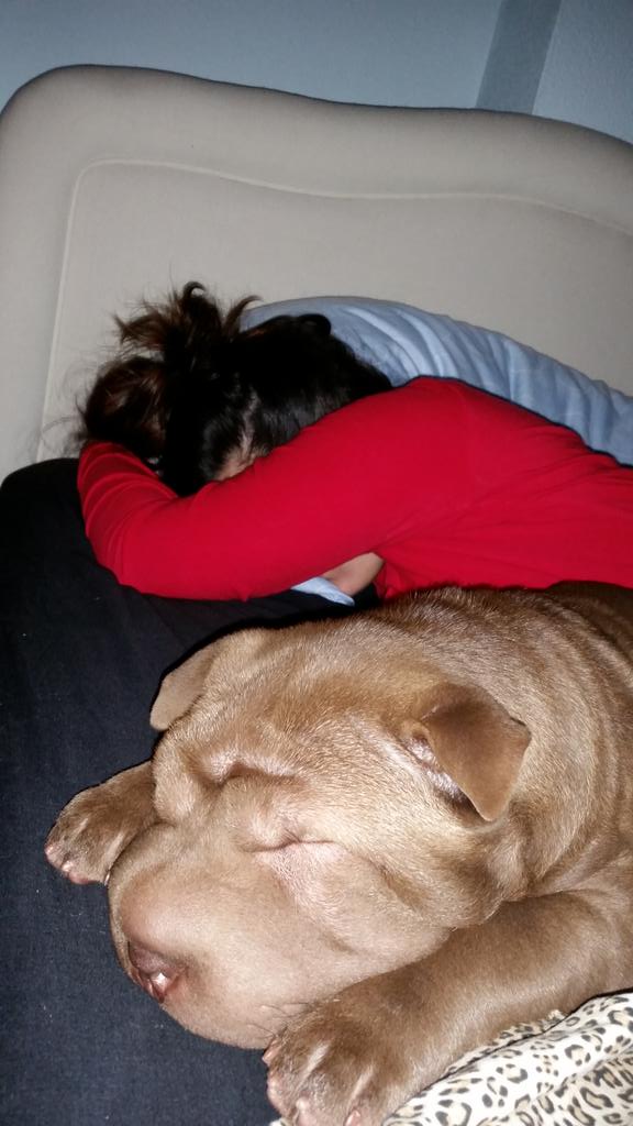 aitorch's tweet image. Buenos diaaas 😍 @PaulaaBaA