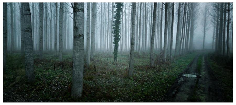 developingit's tweet photo. L'arte di @google #StreetView, immagini di luoghi che sembrano quadri. via @cinemascapist http://t.co/DFfMsdJkU3 http://t.co/em8V0v7603
