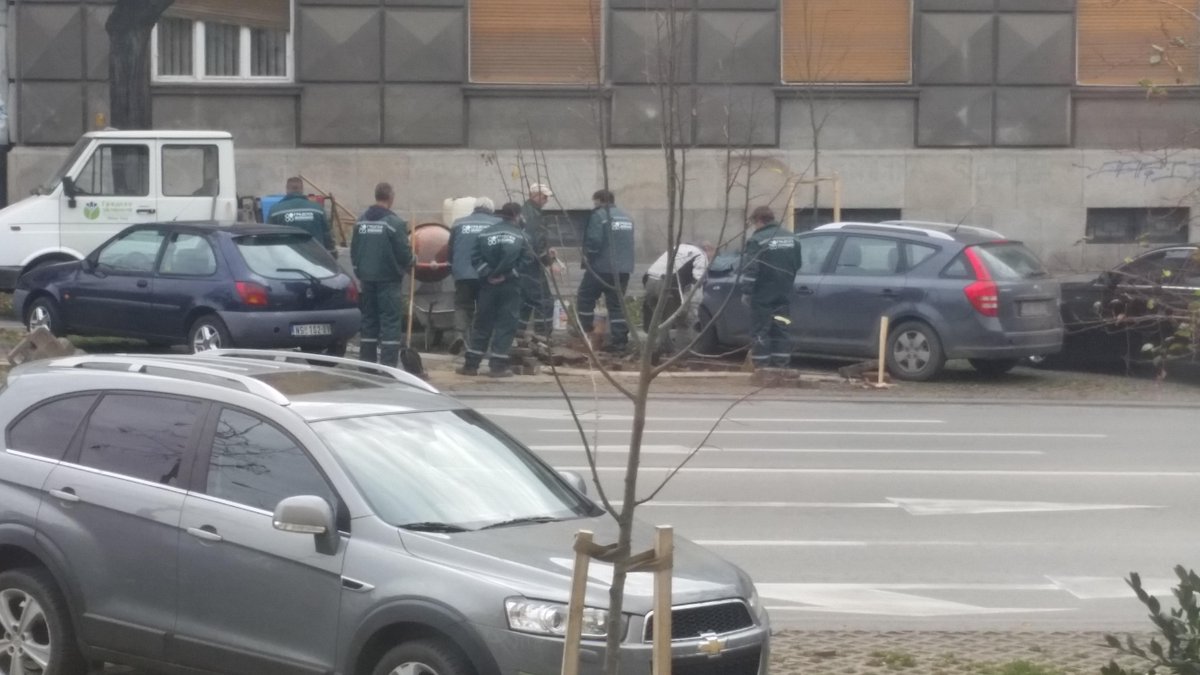 gde_je_deda's tweet image. Gledamo mi, samo ti radi, opušteno. #zelenilo #novisad