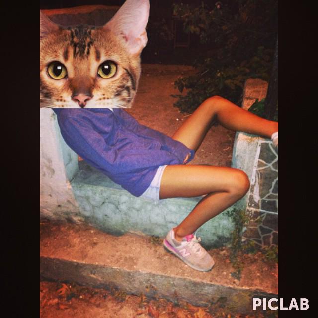 bae (@maggyfresh) on Twitter photo 