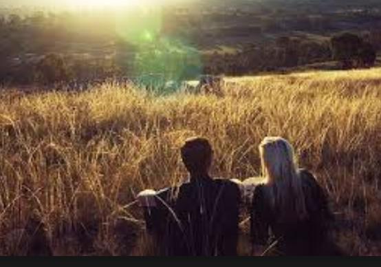 Елена Земскова tweet media