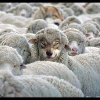 Susanne  Bennie tweet media