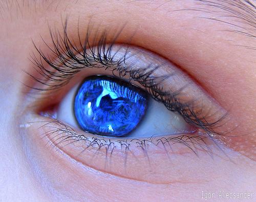 EsSabidoQue's tweet photo. Cómo cambiar el color natural de los ojos para siempre. Ver→ http://t.co/R9DMKdS0FS http://t.co/R6qnOxH9Rp