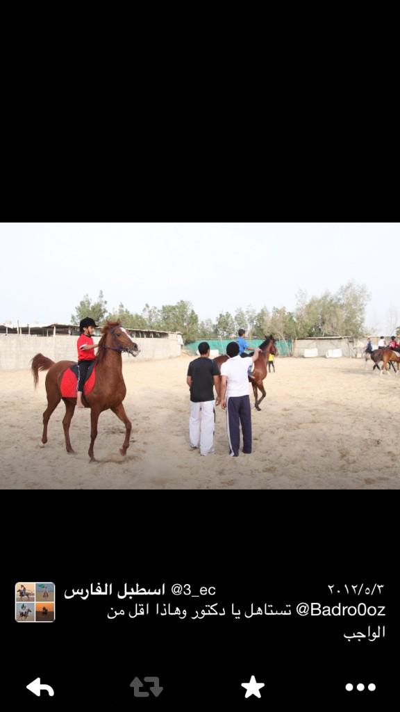 3_ec's tweet photo. بعض الصور من دورة اسطبل الفارس المجانيه الاولي للاطفال لعام ١٤٣٣هجري http://t.co/SORUjjK7jK