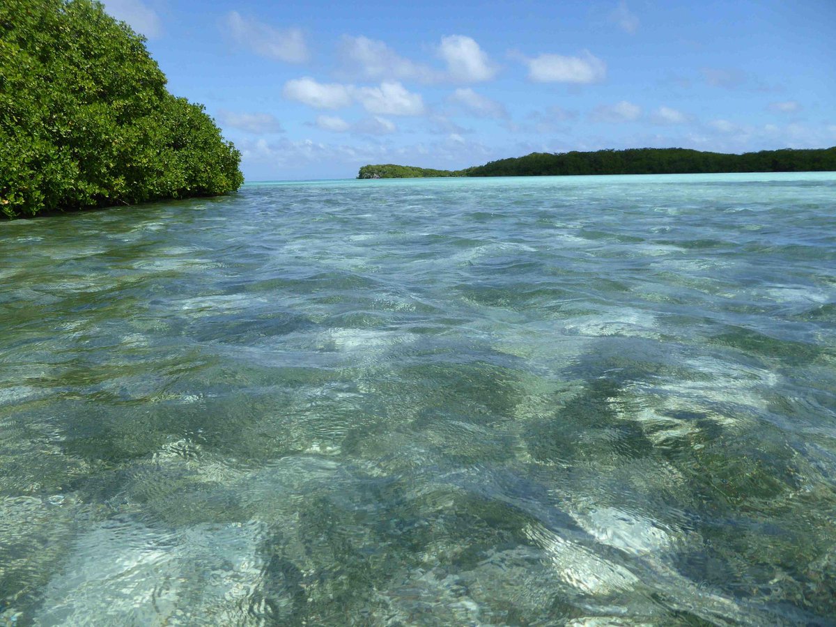 "Una delicia caminar toda la laguna de Crasqui. Transparente, apacible, con azul intenso al fondo." @valendeviaje