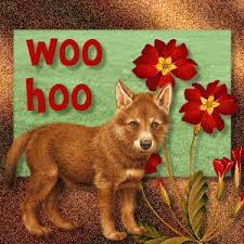 Foxxx_VT's tweet photo. Woohoo #nomoreunderscore http://t.co/XIuzm767Ro