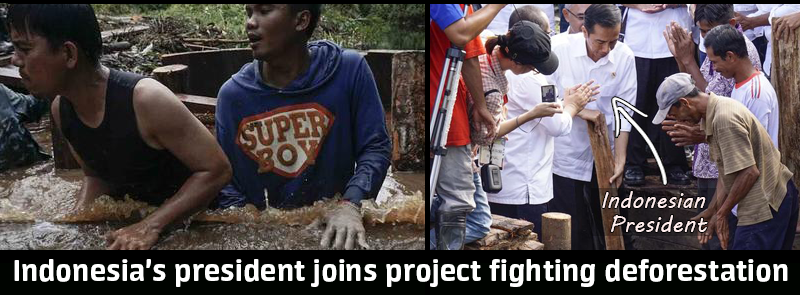 GreenpeaceUK's tweet photo. Indonesia's President joins community project against deforestation >> http://t.co/pdjFzGGjMo http://t.co/EJYbISy3Ab