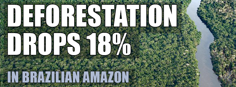 GreenpeaceUK's tweet photo. Deforestation in Brazil’s Amazon has dropped 18% this year! >> http://t.co/6dx9vbZjSH http://t.co/UvhkL3vA6d