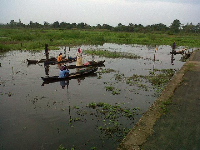 Kalsel_info's tweet photo. Salah satu sudut desa di kab.banjar #kalsel http://t.co/WFwa7TOp7H