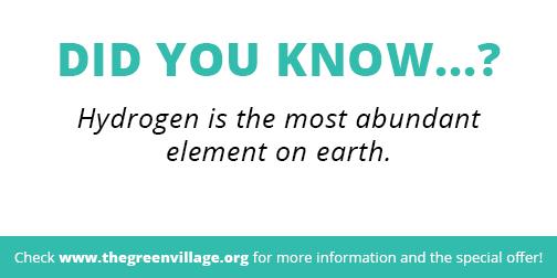 The Green Village tweet media