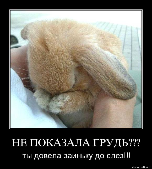 Люди, ничем не примечательные, конечно, правы, проповедуя скромность. Им так легко осуществлять эту добродетель.
