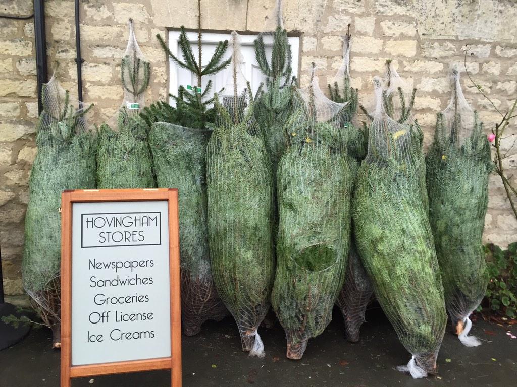 Norwood Christmas trees now in stock