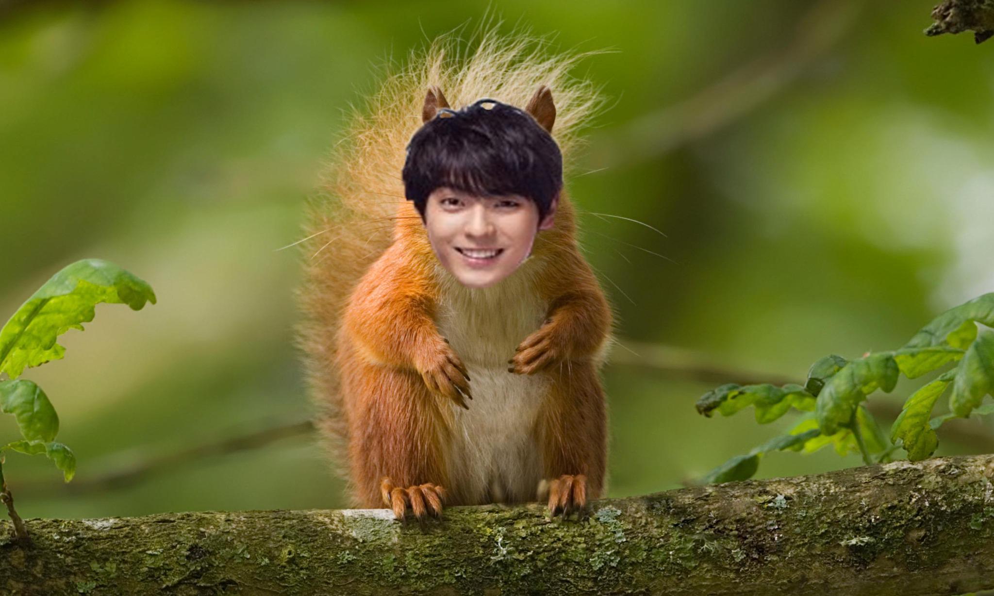 Happy birthday to the cheerful, energetic, Iron man, BTOBs Lee Minhyuk.  