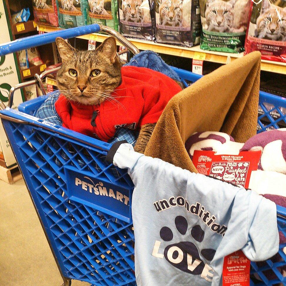ChaddyKlett's tweet photo. Supporting @PetSmartChariTs !! #LuvAPet #AdoptLove #UnconditionalLove http://t.co/s1xzJGaQ4u
