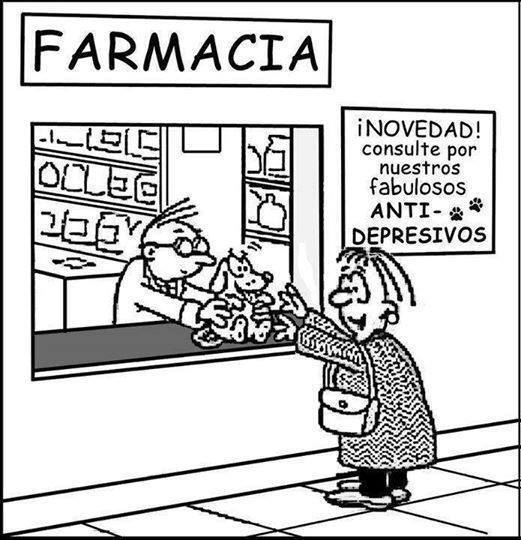 LeocadioMartin's tweet photo. He ido a la farmacia por unos antidepresivos
#menospastillas #masterapia @MRizaldos #humor #psicología http://t.co/NkrrOld6Zp