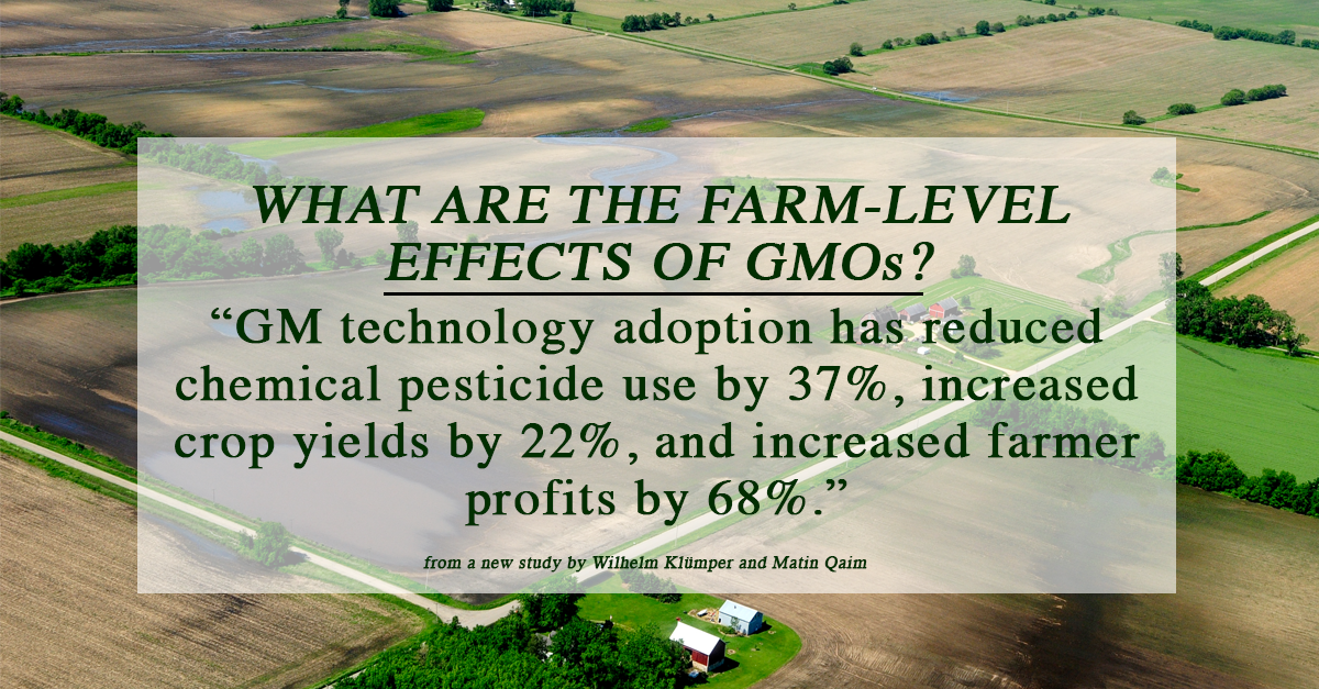 SafeAffordable's tweet photo. A new study found that GMOs increased crop yields by 22%! http://t.co/6nB3ZihOMV http://t.co/nLQeV5NaKb