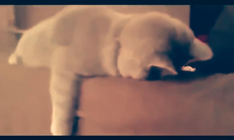 Andrea Butaric 15butaric Twitter