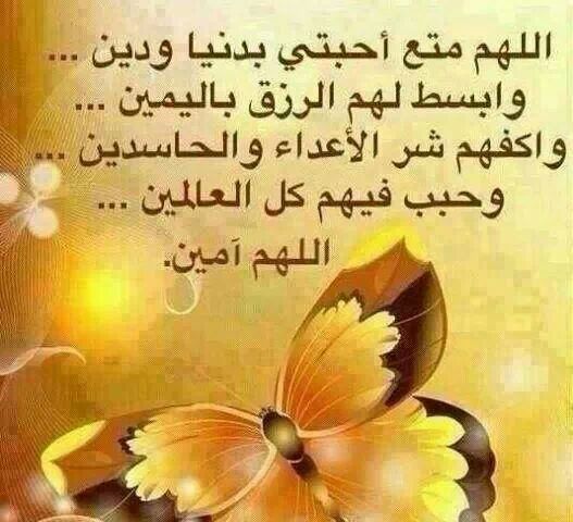 MayaMoubayed tweet picture