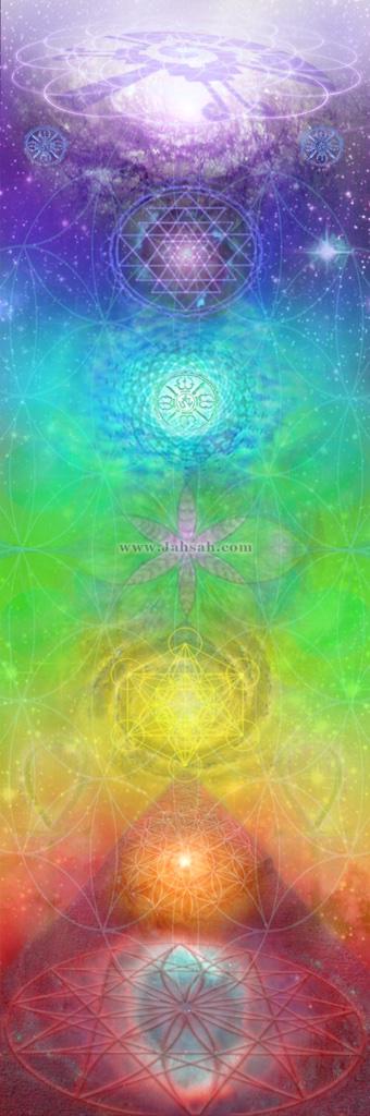 iamevanjames's tweet image. $222 for a yoga mat. #santahelp