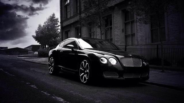 Dream Exotics tweet media