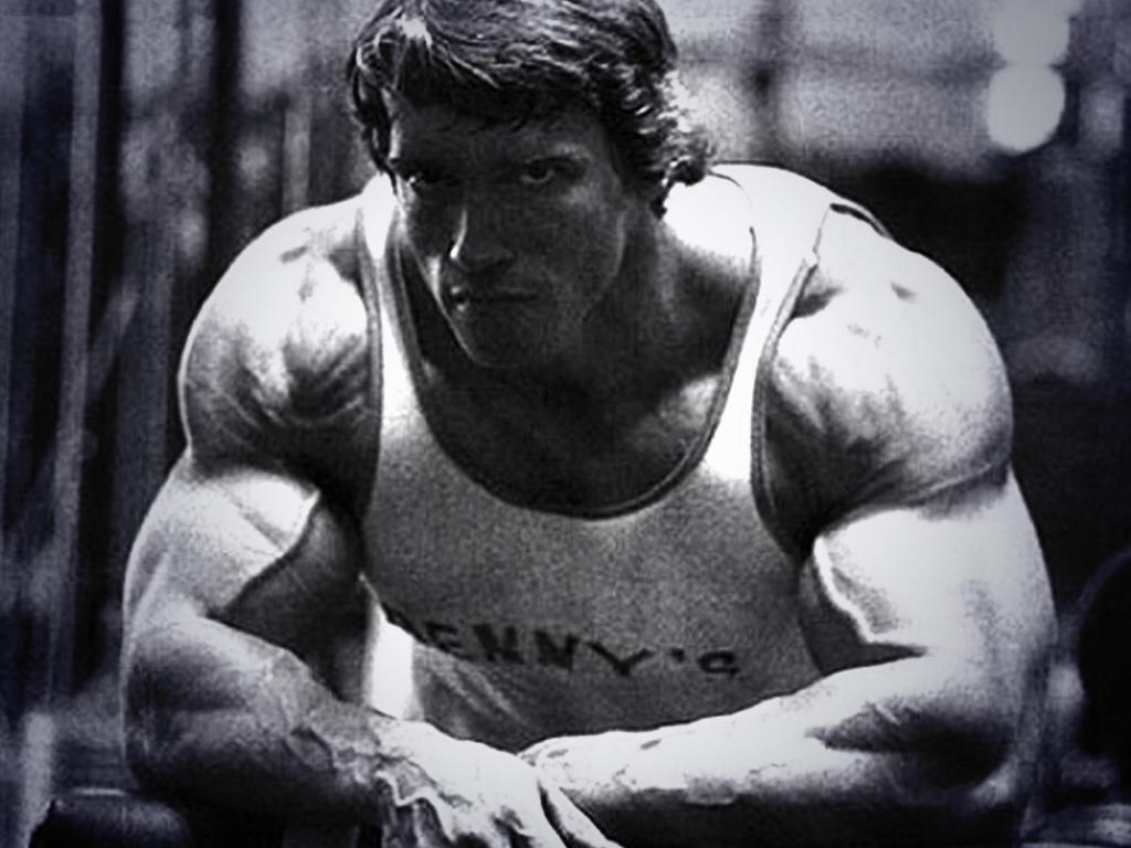 Dream Exotics tweet media