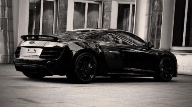 Dream Exotics tweet media