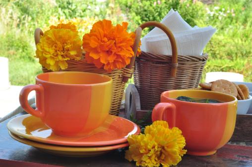 HealthBodTea's tweet image. Enjoy a picnic outside today with some HealthBod Tea of course! Which tea is your favourite?