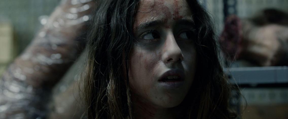 Segarra Films tweet media