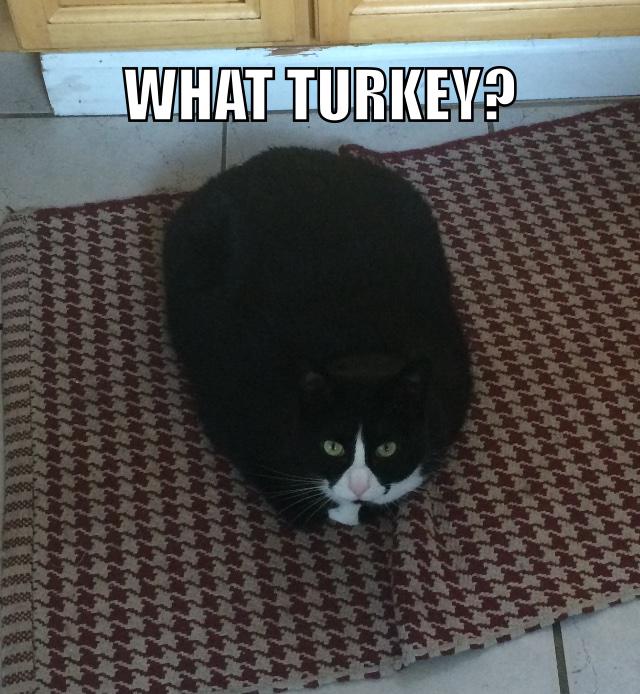 Rock Your Block® (@rockyourblock) on Twitter photo Happy Thanksgiving! We are so grateful for our users who continue to give us great feedback and ideas for RYB! :) Happy Thanksgiving! We are so grateful for our users who continue to give us great feedback and ideas for RYB! :)