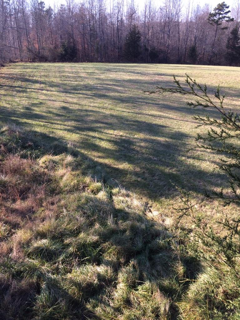 packafatern's tweet photo. What dip do you pack when you are in the stand? #DipHunts http://t.co/b0535iOUMO