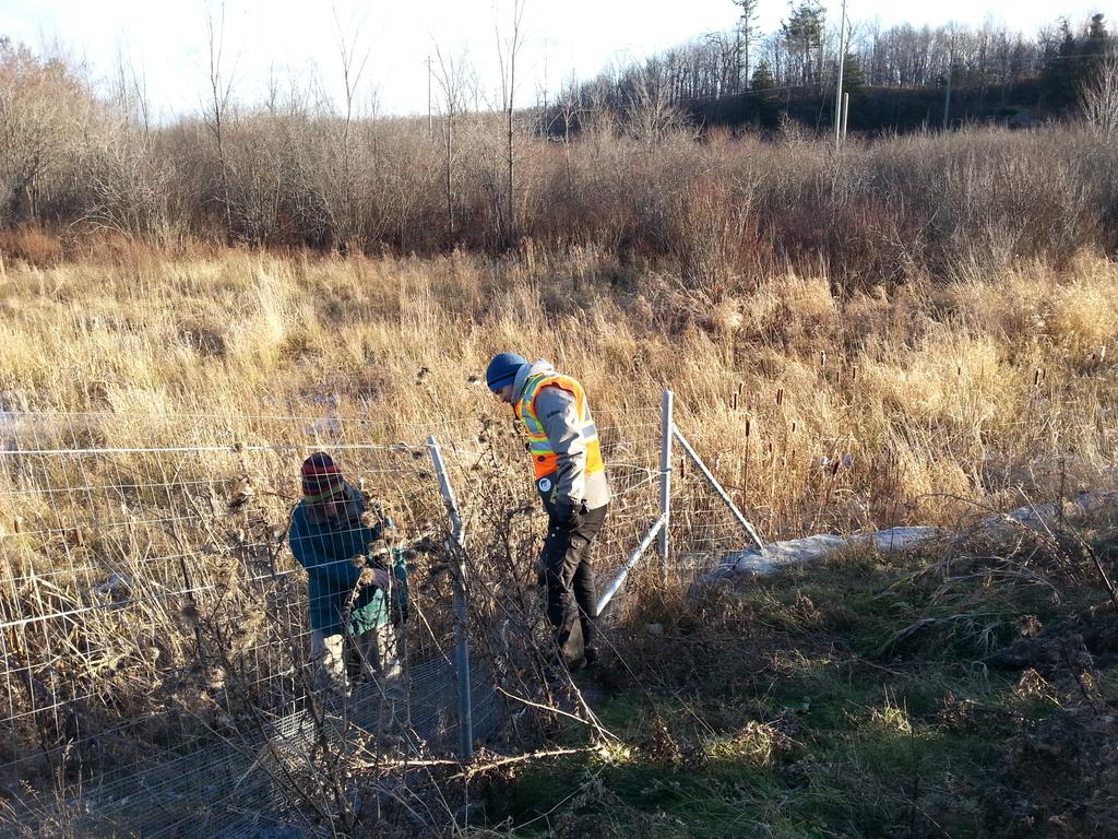 staceyleekerr's tweet photo. Checking out wildlife fencing along Terry Fox Drive in Kanata w/ @Consult_Dillon for #canadaroadecology field trip http://t.co/0iXE39o2oi