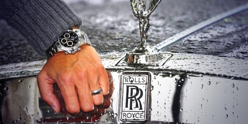 Dream Exotics tweet media