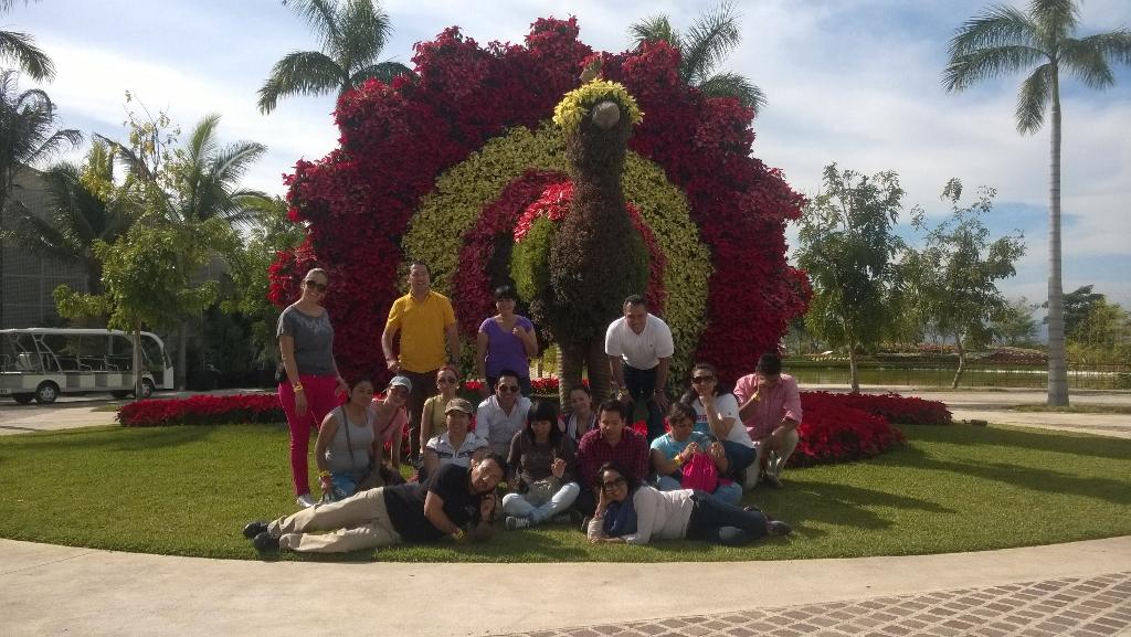 ManriquezTours's tweet photo. @MorelosEs La Primavera de México. Equipo de ventas Misión. Con @jardinesdemex @TlacuacheAdvent y @ExitGayTours http://t.co/nJmTvtd1d8