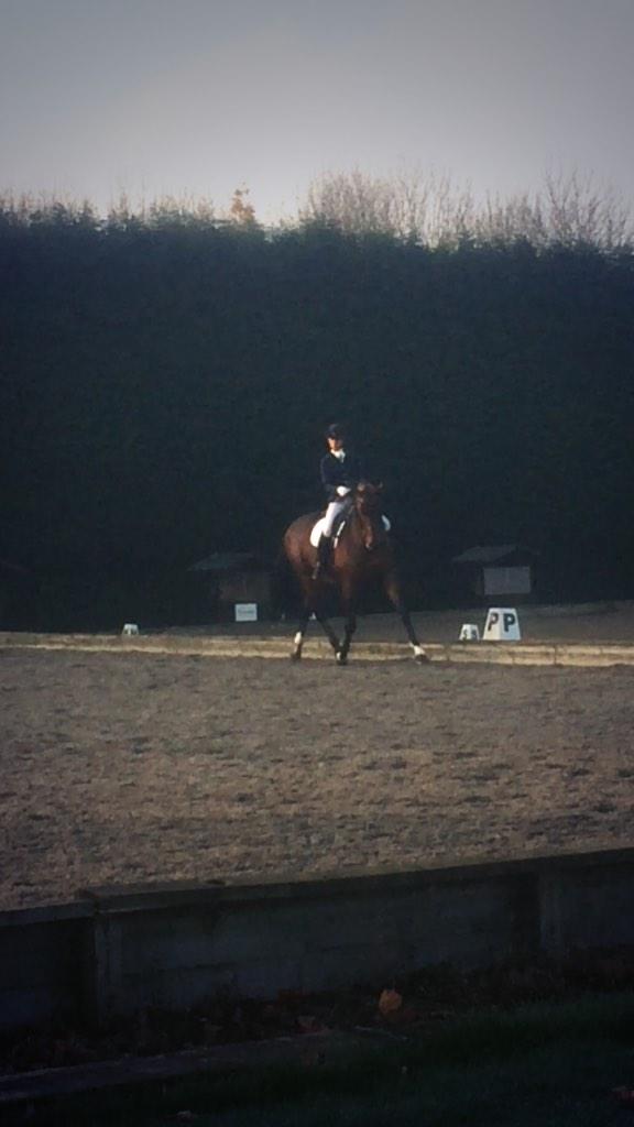 KJ_Dressage's tweet photo. First show since we moved done and in my gorgeous @uvexuk hat, sooo happy with it and our 3rd place too. #comfyhat http://t.co/EkahSBi5jR