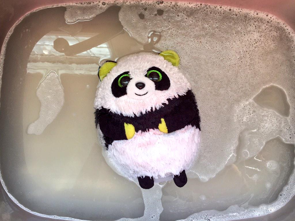 MrPandaJPanda's tweet photo. Bath time! It's finally happening. #grooming #theymademedoit #cleanbear 🛀 http://t.co/ZVnd0RQnwV