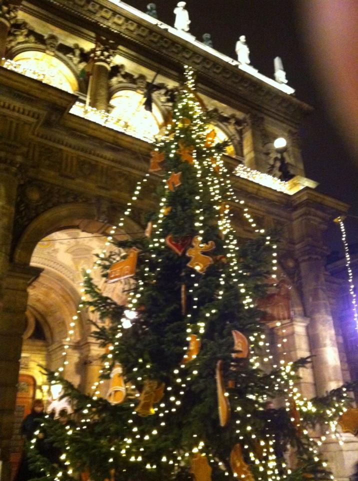 EszterforCEE's tweet photo. Christmas theme after a perfect evening in the #Opera in #Budapest Trubadur by #Verdi http://t.co/Y5HE2ljW6R
