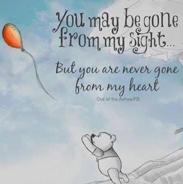 Sami Oddy tweet media