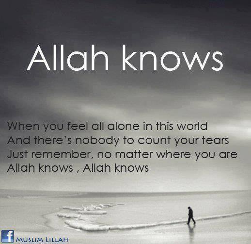 MohammadFeeroz's tweet photo. http://t.co/NPXncoqEgL